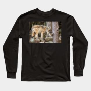 Eastern Timber Wolf Long Sleeve T-Shirt